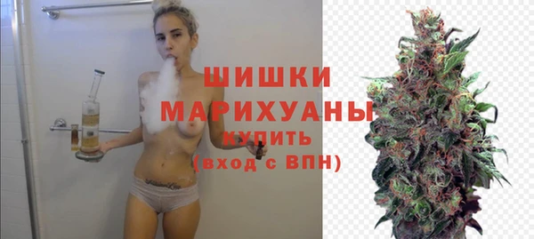 дмт Алзамай