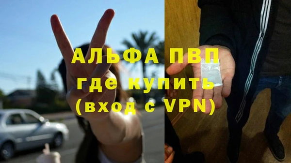 молекула духа Алексин