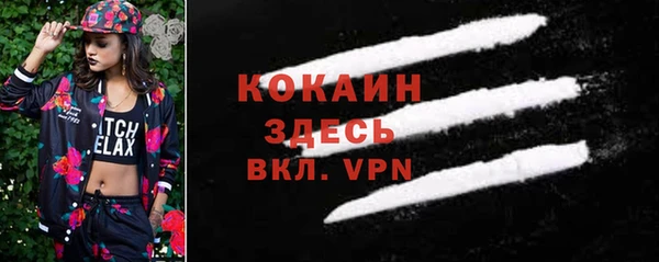 молекула духа Алексин