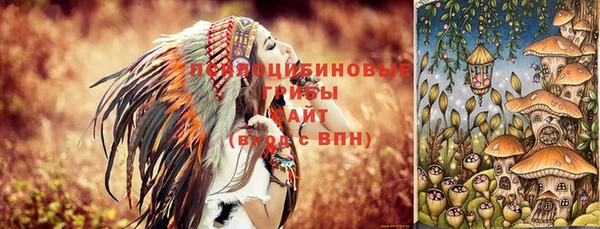 дмт Алзамай