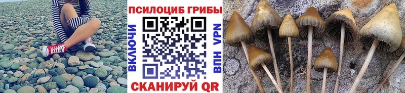 что такое наркотик  Евпатория  Галлюциногенные грибы мухоморы 